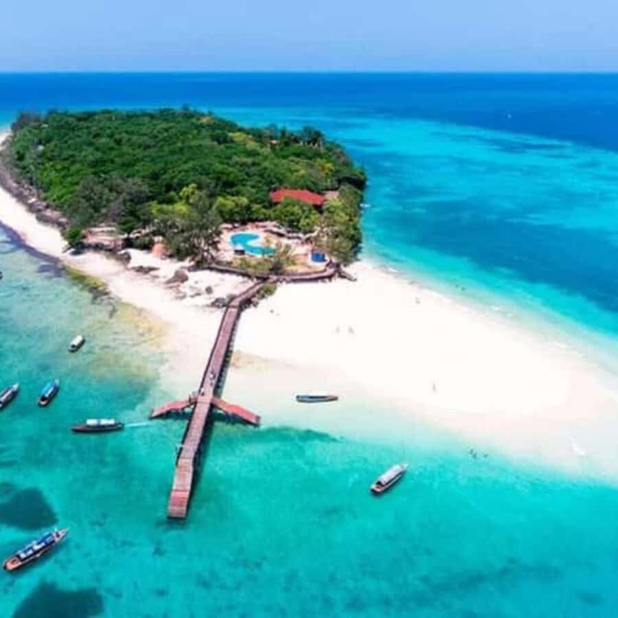 ZANZIBAR: Prison Island, Spice Farm Visit & Turtle Swim Tour - Prison Island: what it’s really like meeting Aldabra tortoises