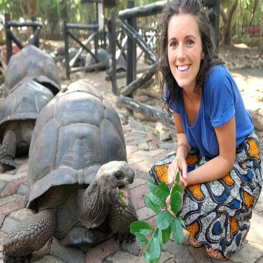 ZANZIBAR: Prison Island, Spice Farm Visit & Turtle Swim Tour - The water break at Prison Island: swim time without stress