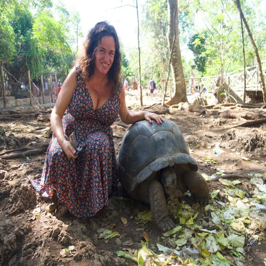 ZANZIBAR: Prison Island, Spice Farm Visit & Turtle Swim Tour - Stone Town pass-by: why it’s included even if you don’t stop