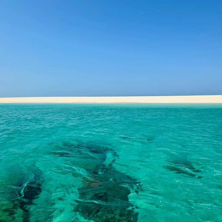 ZANZIBAR: Prison Island, Spice Farm Visit & Turtle Swim Tour - How your guide can make or break the day