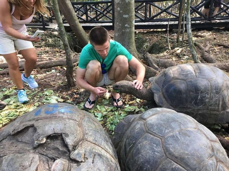 Zanzibar: Prison Island Tour with Giant Tortoises &Boat Ride - Key Points at a Glance