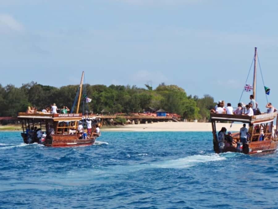Zanzibar: Prison Island Tour with Giant Tortoises &Boat Ride - Giant Aldabra Tortoises: The Main Event (and How to Respect Them)