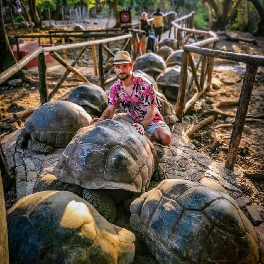 Zanzibar: Prison Island Tour with Giant Tortoises &Boat Ride - Guide Quality and Language: What to Expect in Real Life