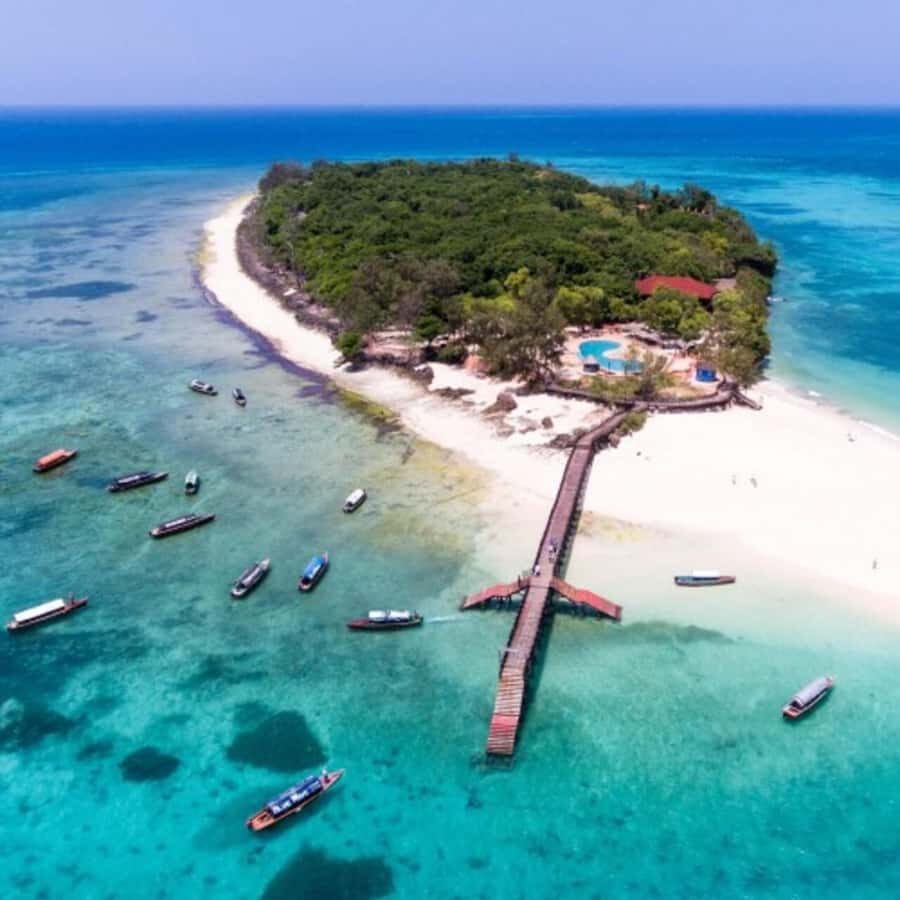 Zanzibar: Prison Island Tour with Giant Tortoises &Boat Ride - The Speedboat Ride from Stone Town: What the Timing Really Means
