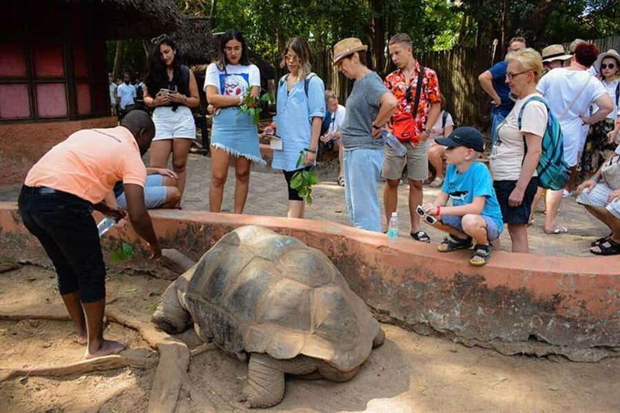 Zanzibar: Private Stone Town, Prison Island & SpiceFarm Tour - FAQ