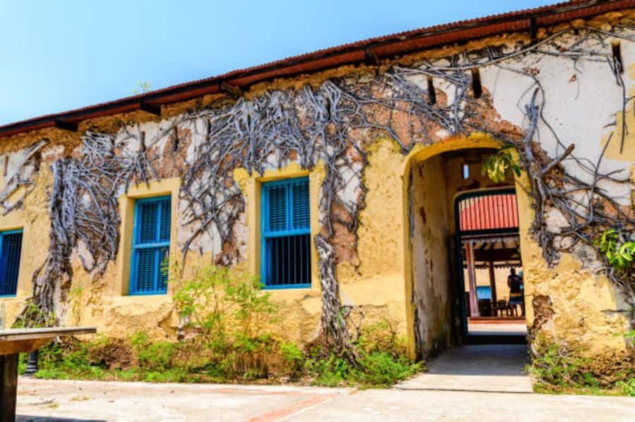 Zanzibar: Private Stone Town & Prison Island Tour - Stone Town Walking Tour: Old Fort, House of Wonders, and the Slave Market
