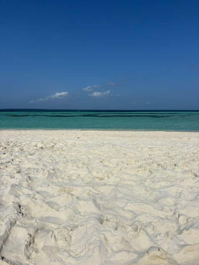 Zanzibar: Pungume island-dolphin watching - BBQ Lunch - Dolphin Watching on a Fiber Boat: What You Can Realistically Expect