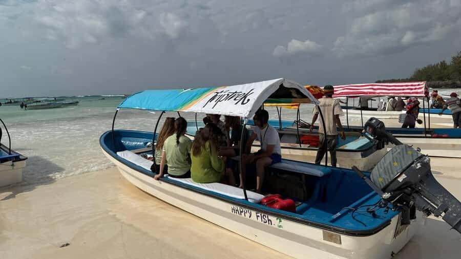 Zanzibar: Pungume island-dolphin watching - BBQ Lunch - Snorkeling Right Off the Sandbank: Coral, Fish, and Better Tips
