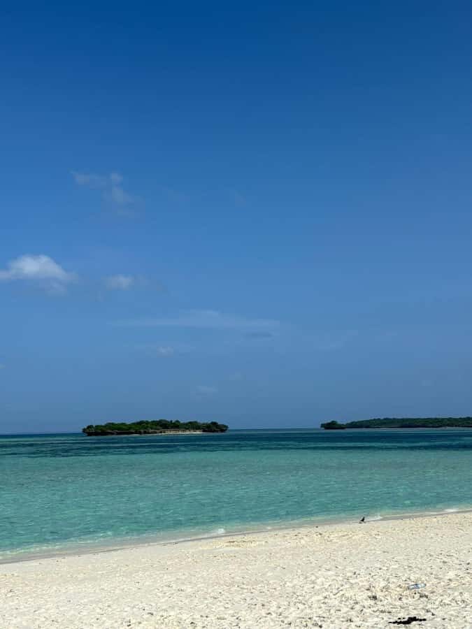 Zanzibar: Pungume island-dolphin watching - BBQ Lunch - Getting There: Hotel Pickup Zones and the Van Ride