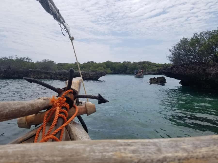 Zanzibar: Safari Blue Day Tour Snorkeling With BBQ Lunch - Who this Zanzibar tour suits best (and who should skip)