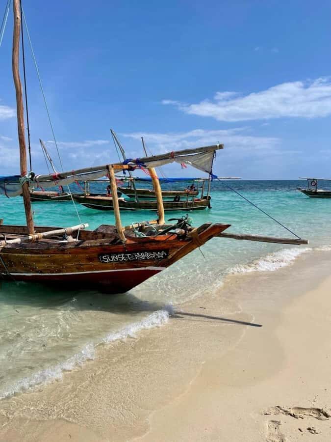 Zanzibar: Safari Blue Full-Day Exploration - Price and value: does $85 actually make sense?