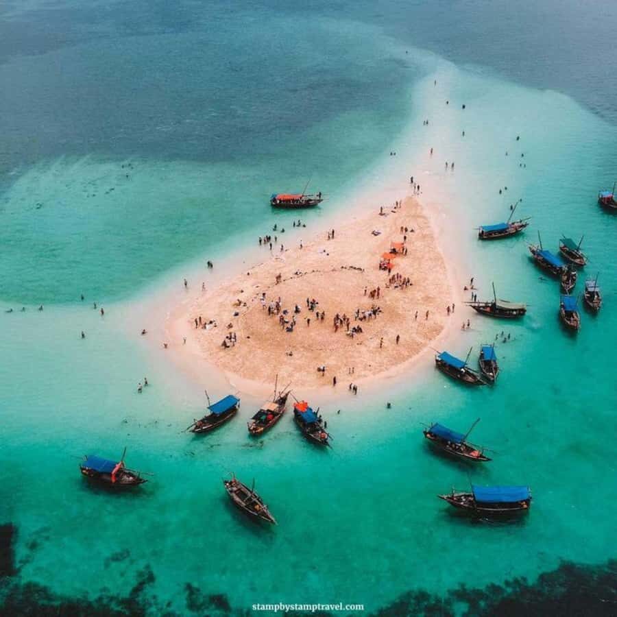 Zanzibar: Safari Blue Full-Day Exploration - Who this Zanzibar Safari Blue day suits best