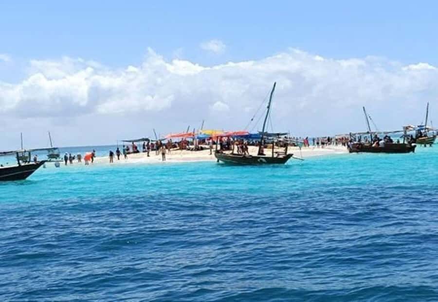 Zanzibar: Safari Blue Full-Day Exploration - Practical tips to make your day smoother