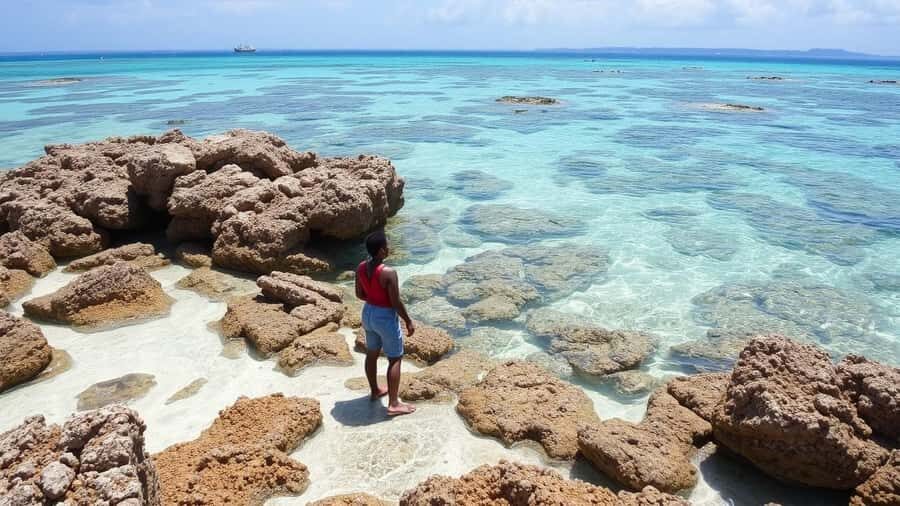 Zanzibar: Safari Blue Full-Day Tour with Lunch and transfer - Dhow sailing through Menai Bay: the scenic payoff