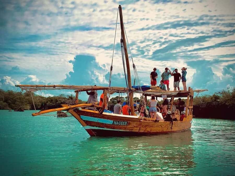 Zanzibar: Safari blue tour - Key points to know before you go