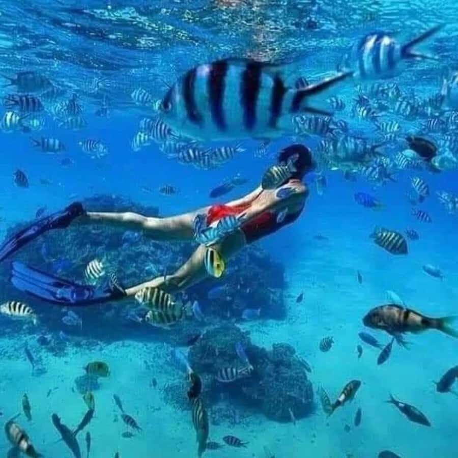 Zanzibar: Safari blue tour - What to bring for Zanzibar water time