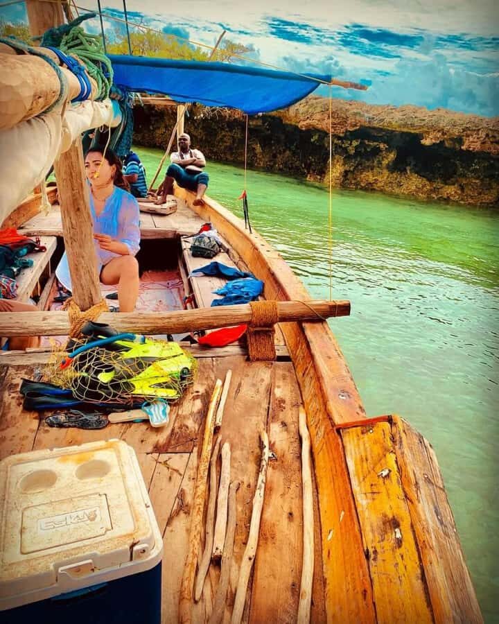 Zanzibar: Safari blue tour - Kwale Island: lunch, swimming, and guided island time