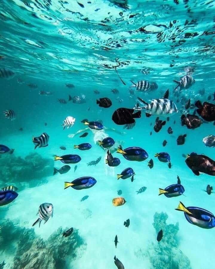 Zanzibar: Safari blue tour - Return sailing on wooden boats and the monsoon story