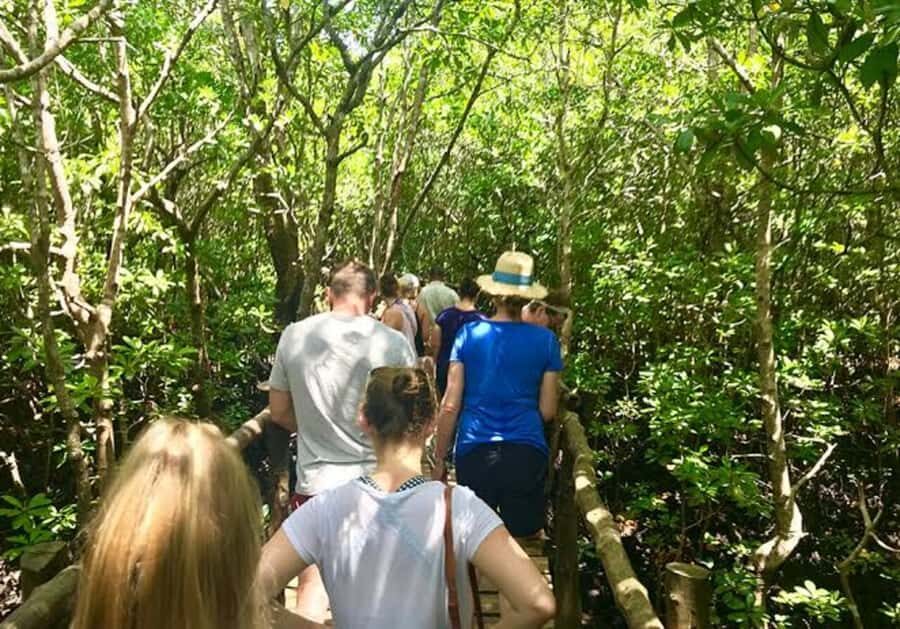 ZANZIBAR: Salaam Cave, Prison Island & Jozani Forest Tour - Key moments worth your attention