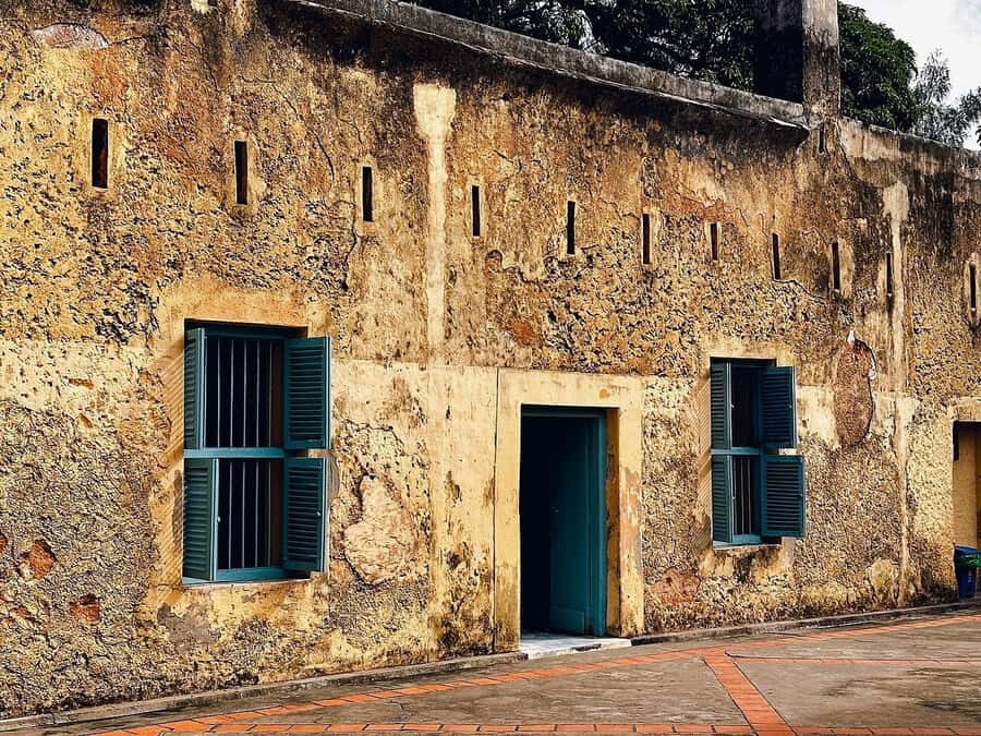 ZANZIBAR: Salaam Cave, Prison Island & Jozani Forest Tour - Who this tour suits best (and who should rethink it)