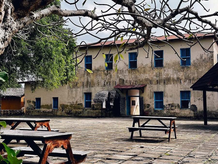 ZANZIBAR: Salaam Cave, Prison Island & Jozani Forest Tour - Should you book this Zanzibar wildlife and history day?