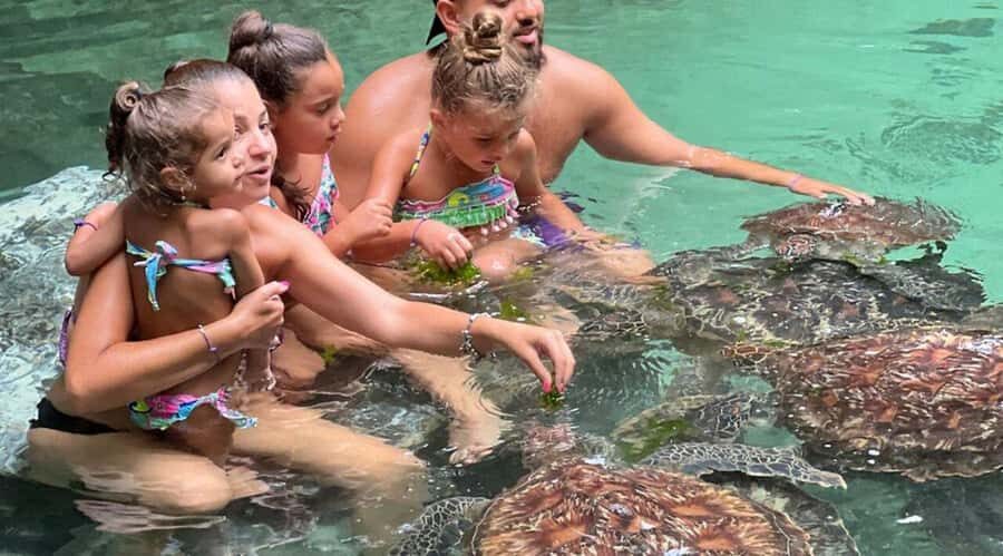 ZANZIBAR: Salaam Cave Swimming with Sea Turtles at Kizimkazi - Swimming With Sea Turtles: The Calm, Up-Close Part