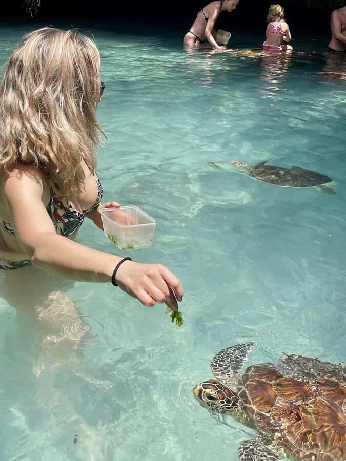 ZANZIBAR: Salaam Cave Swimming with Sea Turtles at Kizimkazi - Time, Group Size, and What Your Day Feels Like