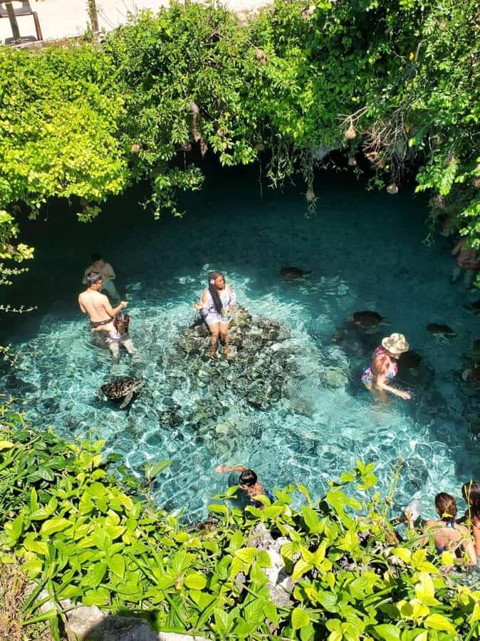 ZANZIBAR: Salaam Cave Swimming with Sea Turtles at Kizimkazi - Getting There by Van: Why the Ride Matters for Your Timing