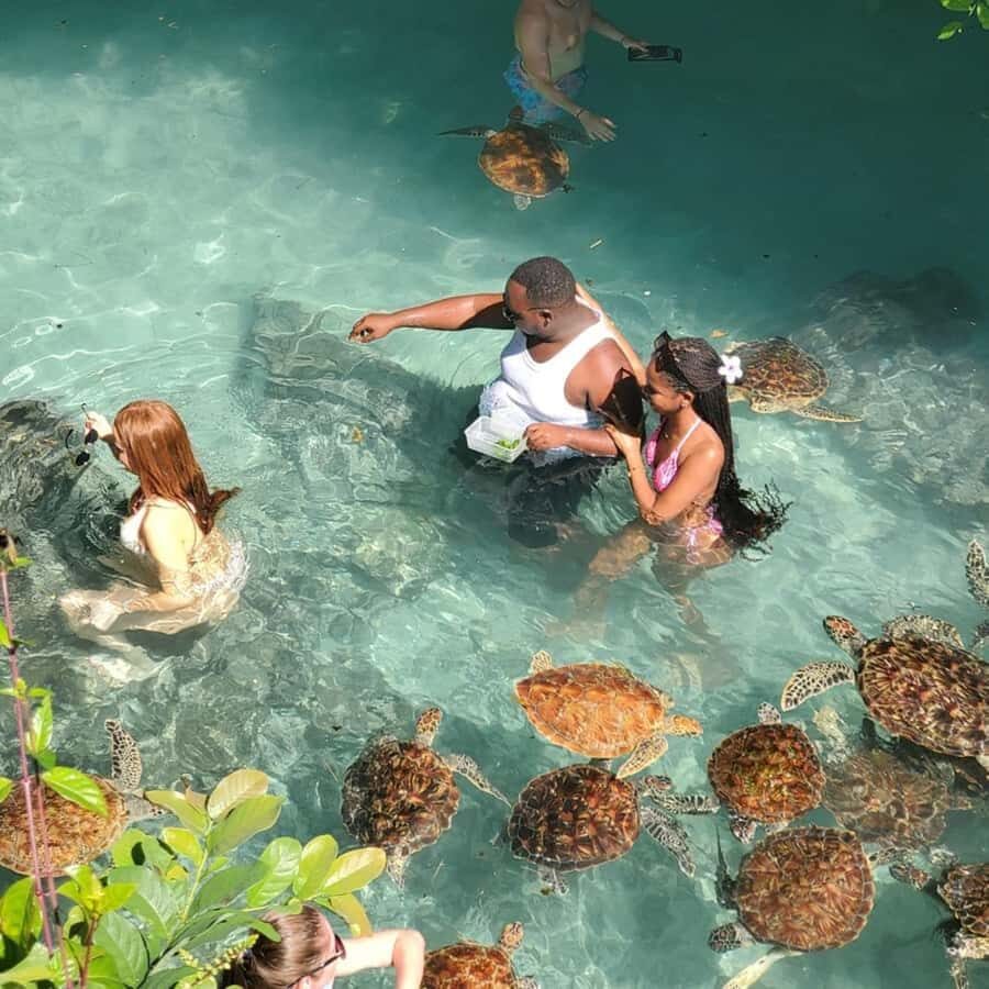 Zanzibar: Salaam Cave Swimming with Turtles Tour - How the Day Starts: Hotel Pickup and the Van Ride