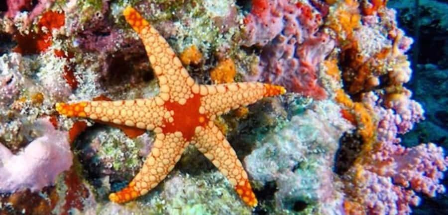 Zanzibar, Salaam Cave Tour, The Rock, Kuza Cave, Paje Beach - Kuza Cave: hidden beauty with a more magical-feeling atmosphere