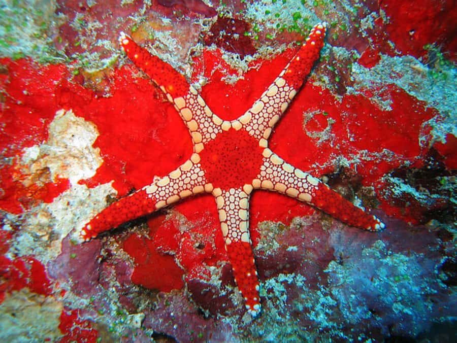 Zanzibar, Salaam Cave Tour, The Rock, Kuza Cave, Paje Beach - Paje Beach: a calm finish of white sand and simple serenity