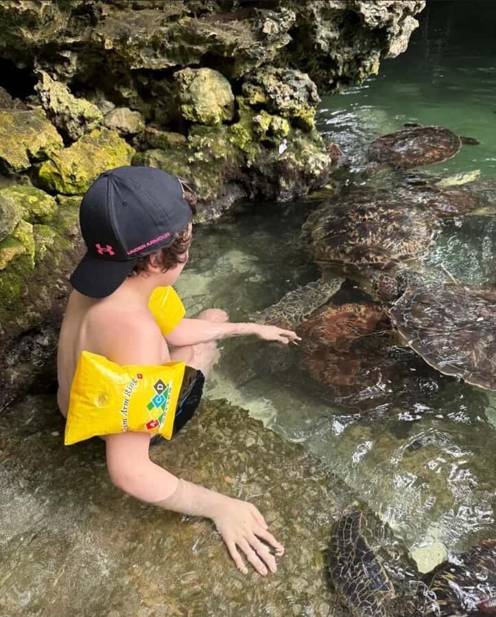 ZANZIBAR: Sea Turtle Swimming & Feeding Experience in NUNGWI - Swimming With Green and Hawksbill Turtles: What to Expect in the Water