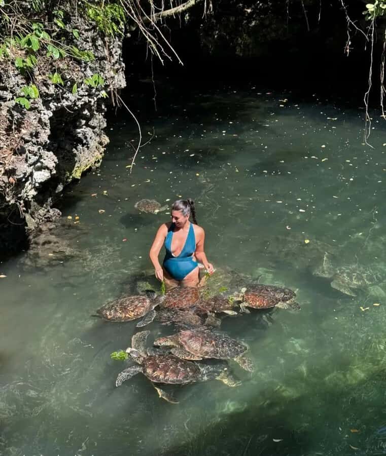 ZANZIBAR: Sea Turtle Swimming & Feeding Experience in NUNGWI - Seaweed Feeding: The Moment That Makes It Memorable