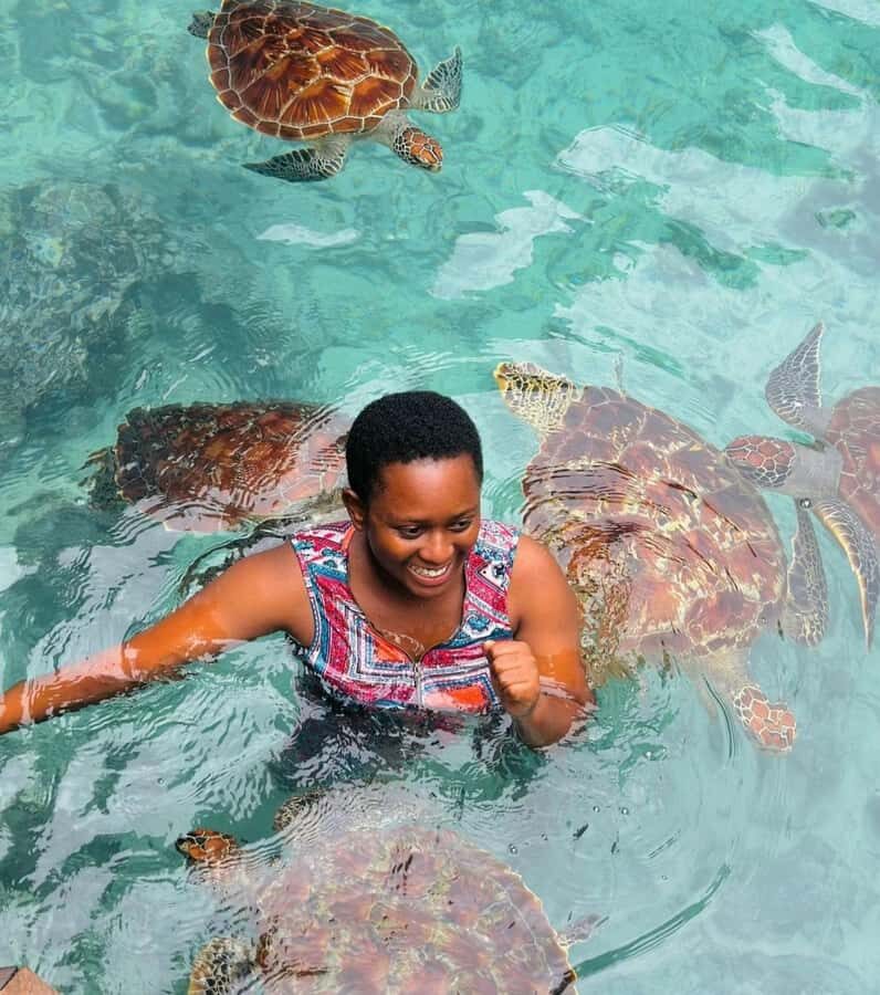 ZANZIBAR: Sea Turtle Swimming & Feeding Experience in NUNGWI - Who This Tour Works Best For