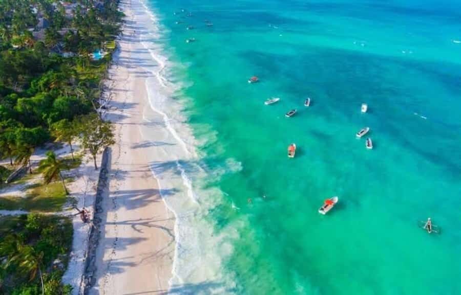 Zanzibar: South Coast Beach Day Trip with Salaam Cave Visit - Sea Turtle Swimming: How to Get the Best Photos and the Best Vibe