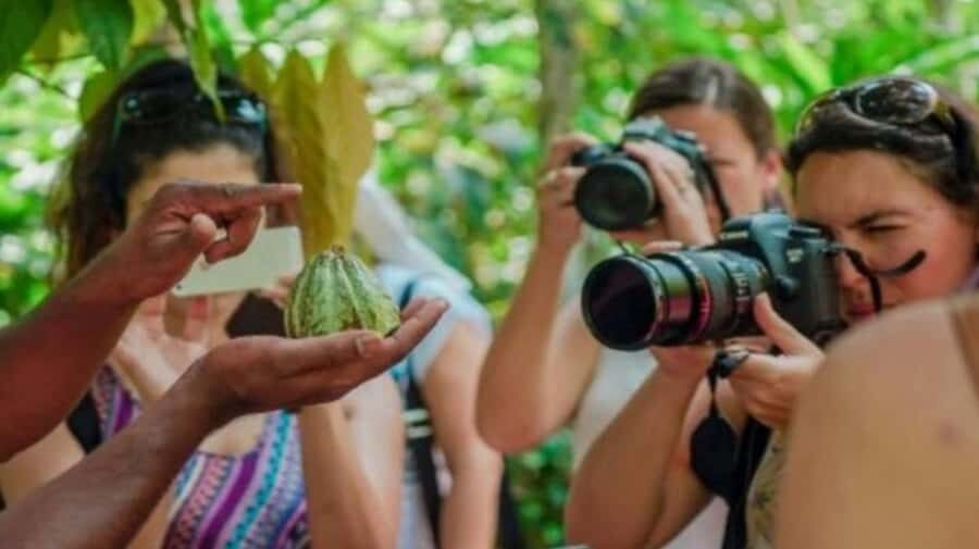 Zanzibar: Spice Farm, Jozani Forest & Sea Turtle Sanctuary - Who Should Book This Tour (and Who Should Skip It)