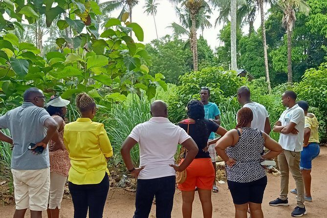 Zanzibar Spice Farm Tour - The Spice Stall Stop: What to Expect and How to Shop Smart