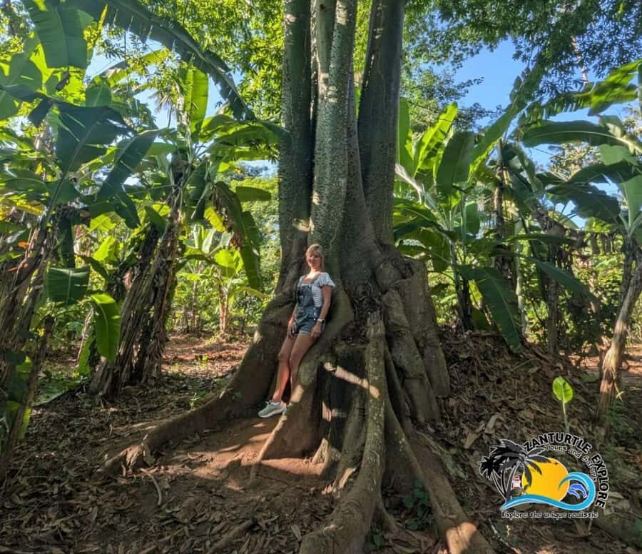 Zanzibar: Spice Farm Tour and Cooking Class with Lunch - Palm-Leaf Accessories, Playful Moments, and Local Color