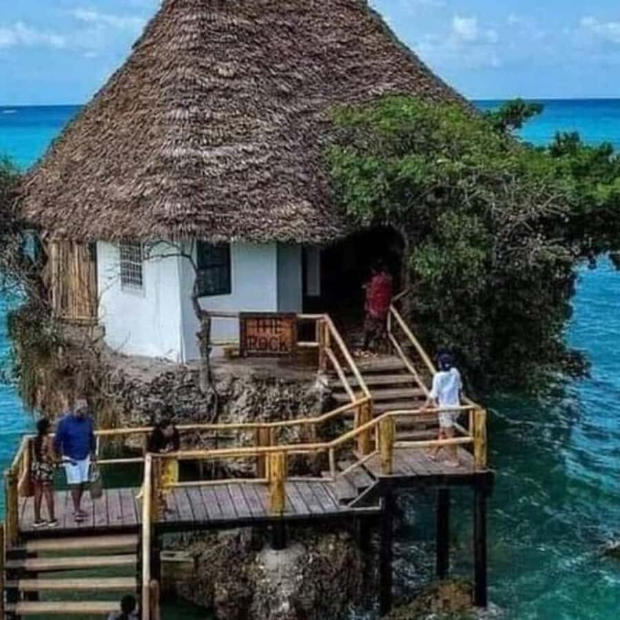 ZANZIBAR: Spice Farm Tour, Jozani Forest & Rock Restaurant - Jozani Chwaka Bay: Red Colobus, mangroves, and a real conservation setting