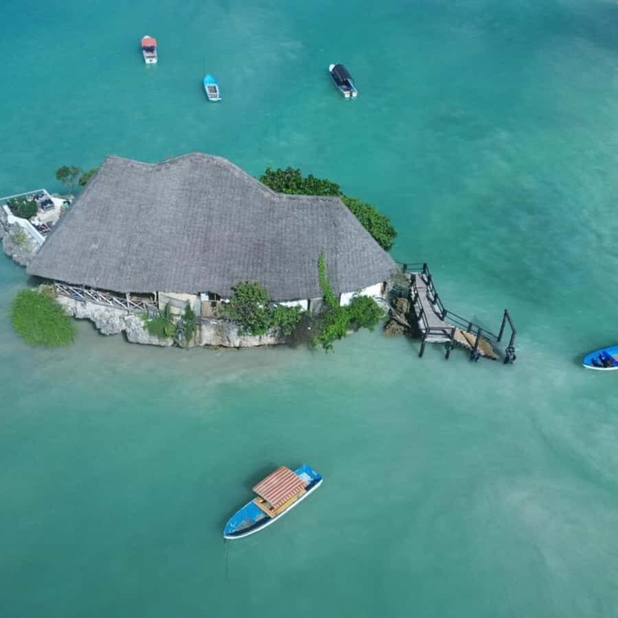ZANZIBAR: Spice Farm Tour, Jozani Forest & Rock Restaurant - Spice farm walk: clove, cardamom, nutmeg, and the smells you’ll remember