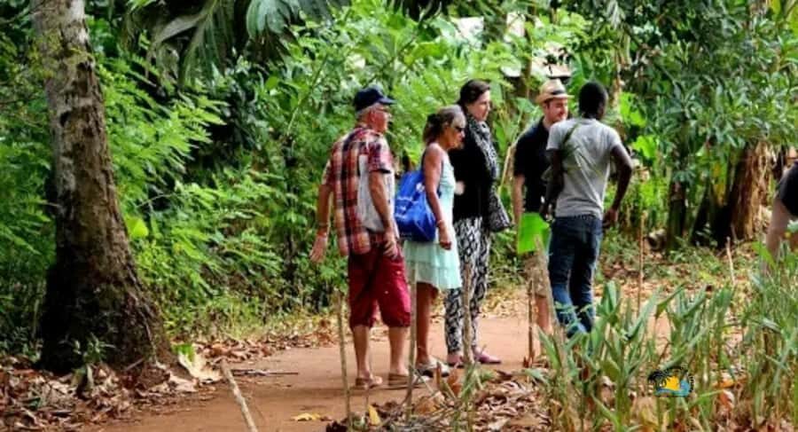 Zanzibar: Spice Farm Tour with Cooking lesson - A Market-to-Farm Day in Zanzibar’s Spice World