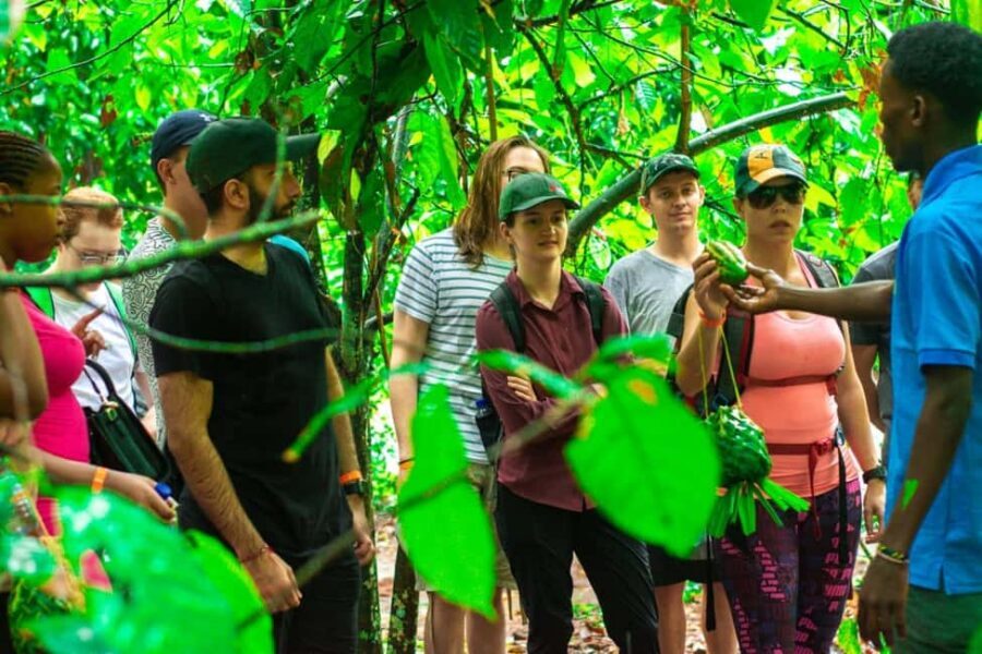 Zanzibar: Spice Farm Tour with Lunch & Tropical Fruits - Getting To Jambo Spice Farm in Dole Village