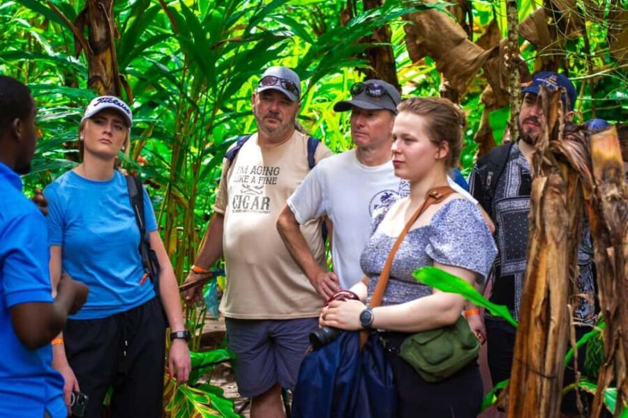 Zanzibar: Spice Farm Tour with Lunch & Tropical Fruits - The 2.5-Hour Guided Walk Through Zanzibar’s Spice Plants