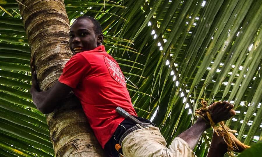 Zanzibar: Spice farm tour with Zanzibar fruits tasting - Walking Zanzibar Spice Farms From People’s Palace Museum