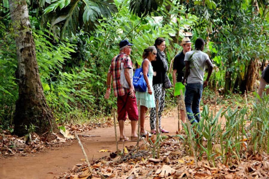 Zanzibar: Spice farm tour with Zanzibar fruits tasting - Who This Tour Suits Best (And Who Might Want Something Different)
