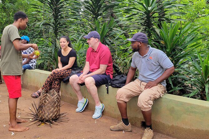 Zanzibar Spice Tour and Lunch Experience - Tropical Fruit and Real Plant Uses: The Part That Feels Most Hands-On