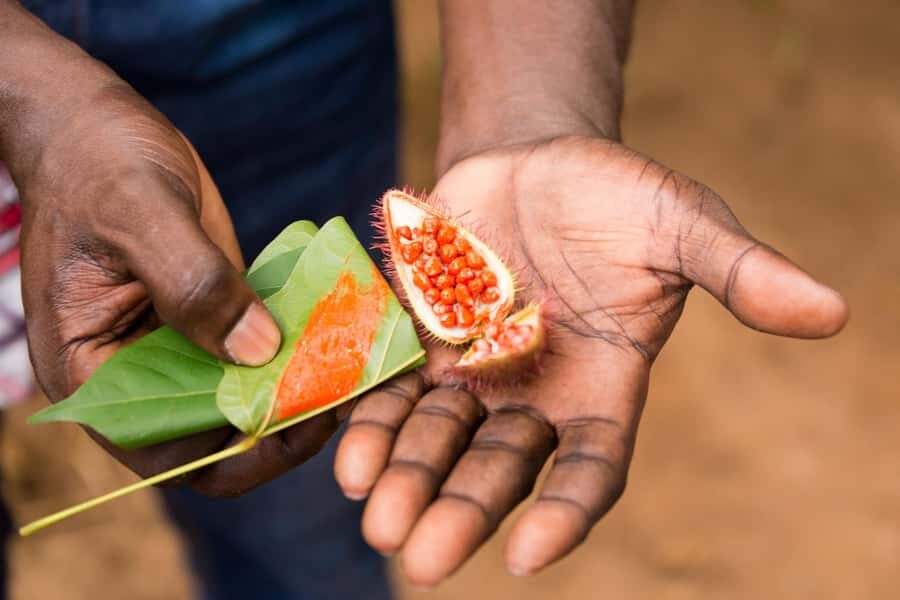 Zanzibar Spice Tour &Cooking Class with Lunch Pickup Include - Spice Island lessons you’ll actually use at the table