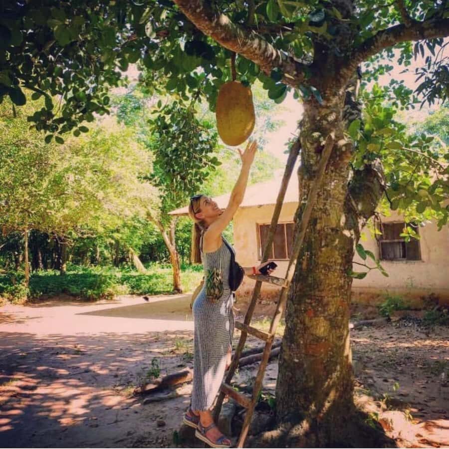 Zanzibar Spice Tour &Cooking Class with Lunch Pickup Include - Kizimbani spice farm walk: smell, taste, and native vegetation