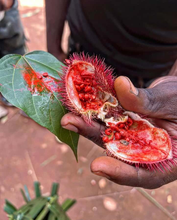 Zanzibar Spice Tour &Cooking Class with Lunch Pickup Include - Price and logistics: $58 for a half-day with transport