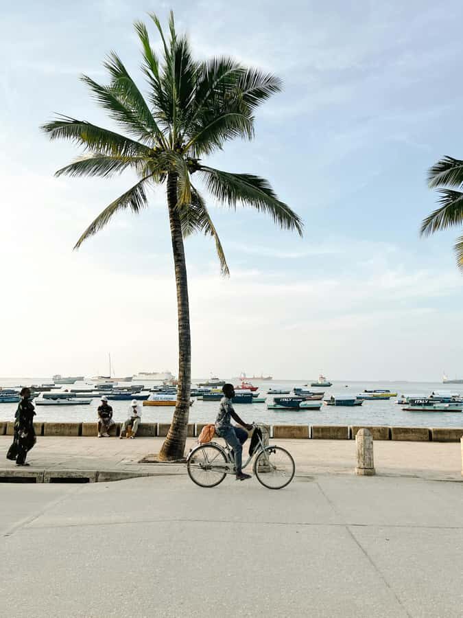 Zanzibar: Stone Town Heritage & Slave Market Tour - Practical guide for your day: shoes, weather, and photo rhythm